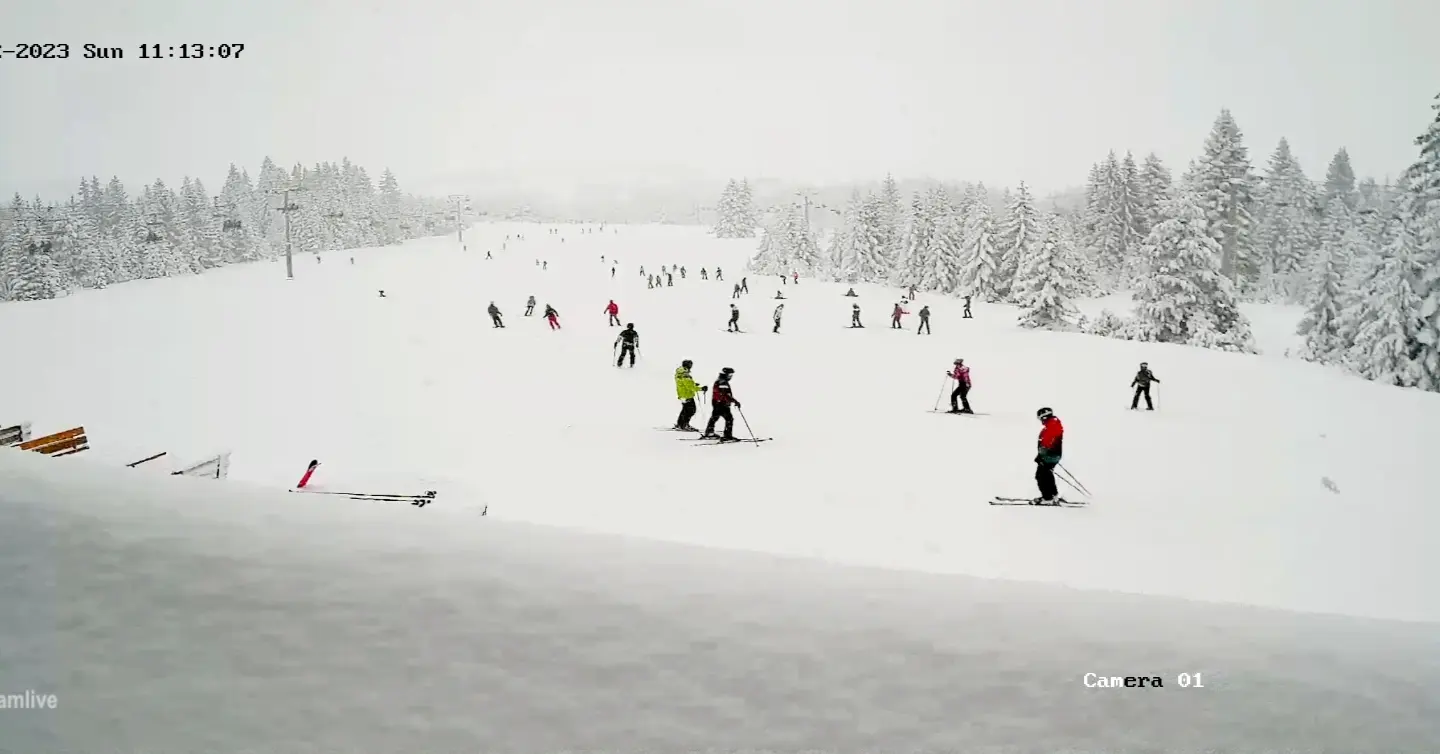 IMG_20230122_112034_708.jpg IMG_20230122_112034_708.jpg